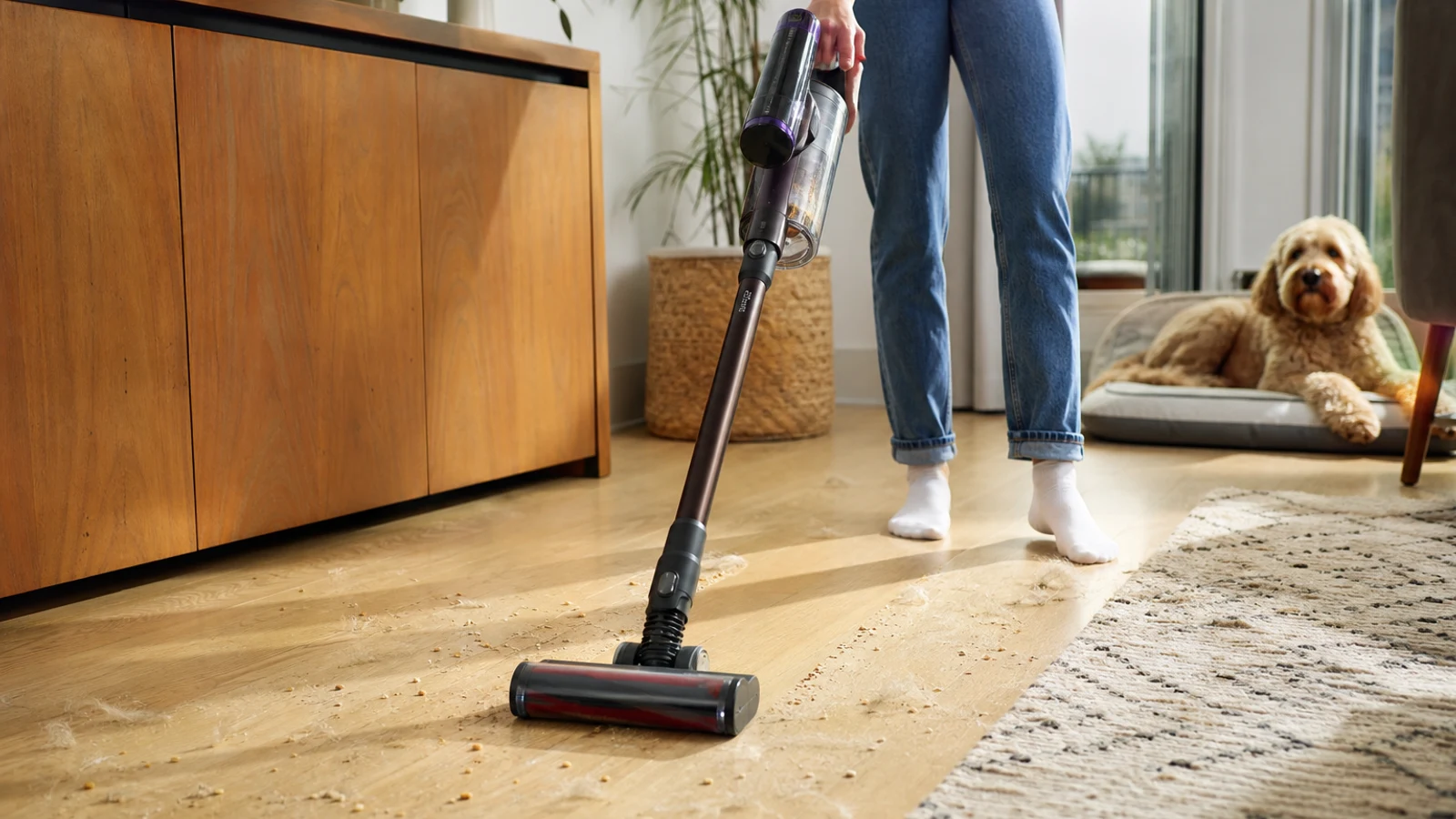 Cordless vacuum cleaning crumbs and pet hair from a modern living room floor